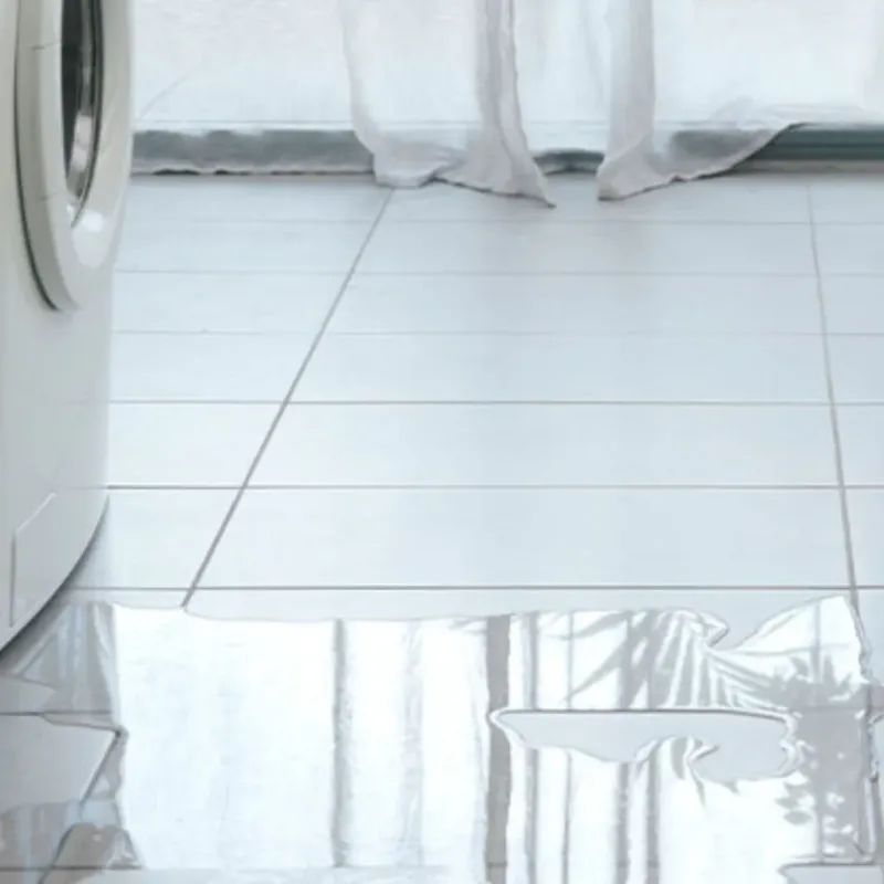 Appliance Leak Cleanup in Lawrence County, AL