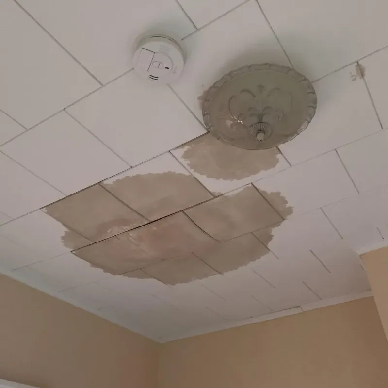Ceiling Water Damage Repair in Lawrence County, AL