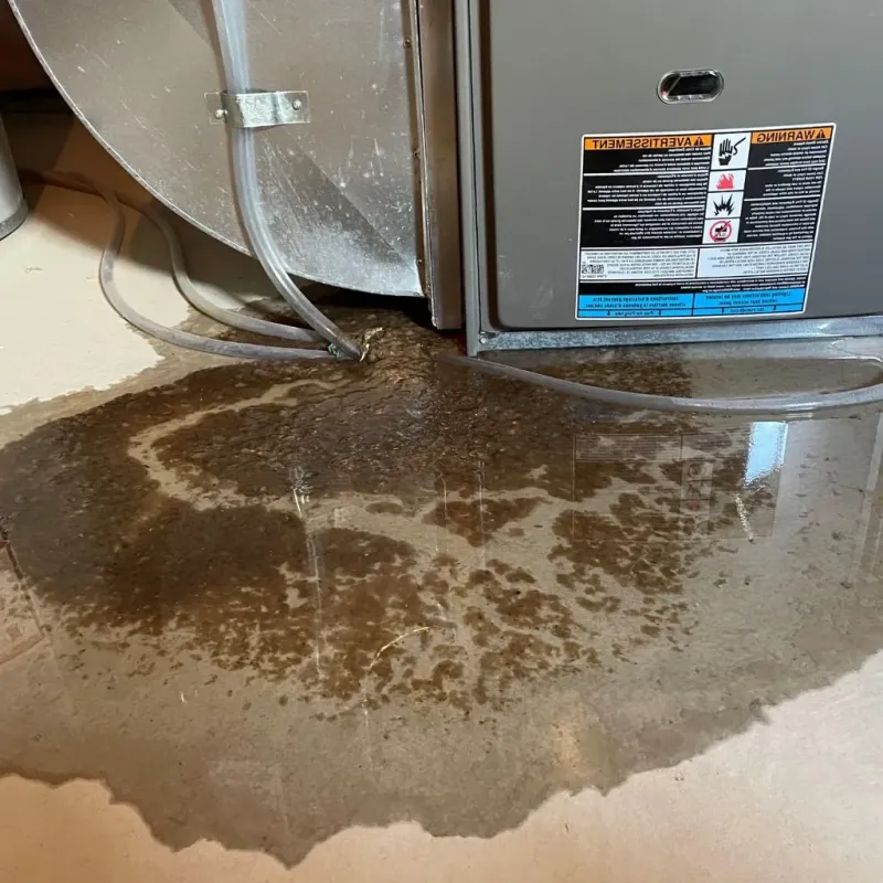 Pipe Burst and Leak Restoration in Lawrence County, AL
