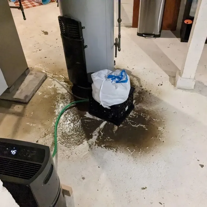 Sewage Backup Cleanup Service in Lawrence County, AL